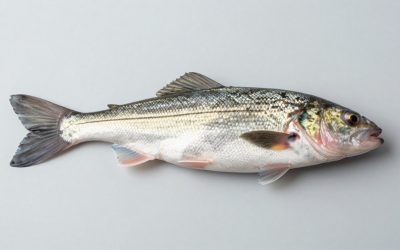 Fish It Withering Rod Guide (2026)