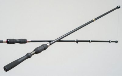 Best Fish Rod in 2026: Buying Guide