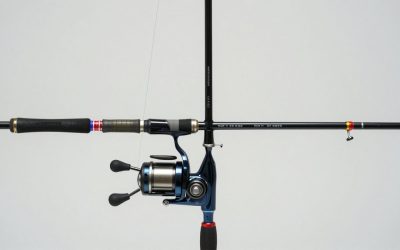 How to Get Fishing Rod in Blox Fruits (2026)