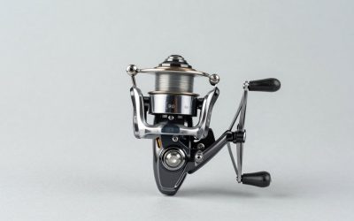 How to Replace Spinning Reel Line Roller (2026): Step-by-Step