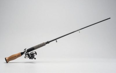 How to Rig a Carolina Rig for Bass: Weights, Leader Length and Hooks