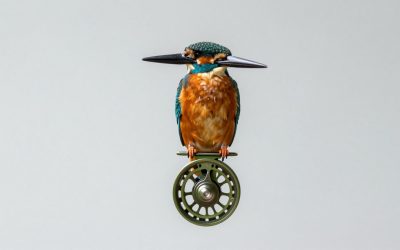 Kingfisher Fly Fishing Clarkfork True Rotary vs V2 Rotary Fly Tying Vise w: Which Should You Buy?