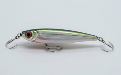 Lipless Crankbait vs Jerkbait for Cold Water Bass: Which Is Right for Your Home (2026)