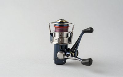Penn Spinning Reels: Battle, Spinfisher and Slammer Compared