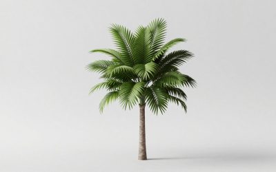 Plants vs Brainrots Travelling Trader Update