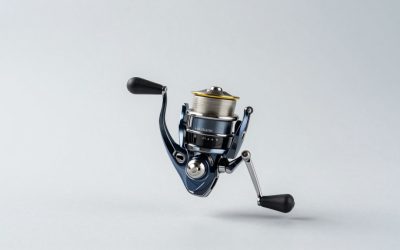 Round Baitcaster vs Low Profile Baitcaster: Which Is Right for Your Home (2026)