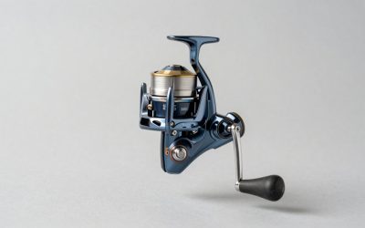 What Size Baitcaster for Swimbaits? Size Guide With Measurements (2026)