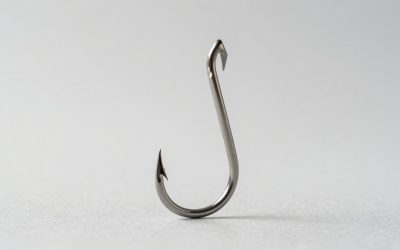 What Size Hooks for Catfish Bait? Size Guide With Measurements (2026)