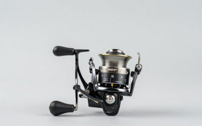 What Size Spinning Reel for Crappie? Size Guide With Measurements (2026)