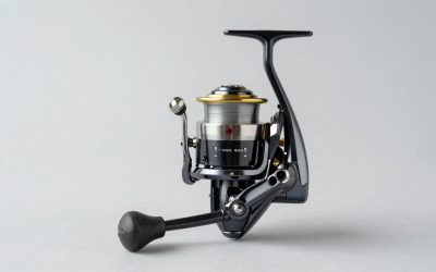 What Size Spinning Reel for Trout? Size Guide With Measurements (2026)